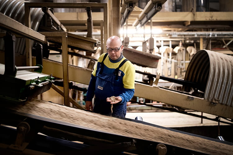 Wood waste recycling